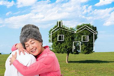 模拟经营《野生动物救援模拟器》Steam页面上线 明年发售